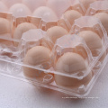 Chicken Egg Crate with Handle Unique Design Plastic Blister Tray JM Packing Clear Custom Order 3-7days PET/PVC Printed Label